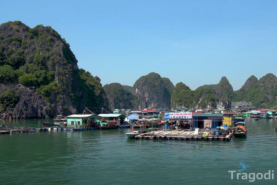 Visit Ha Long Fishing Village