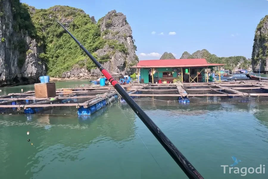 Visiting the Ancient Fishing Village of Cai Beo