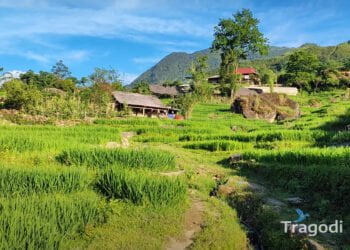 Best time to visit Sapa Tragodi Best time to visit Sapa