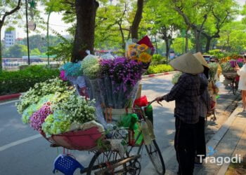 People history and culture of Hanoi Tragodi People history and culture of Hanoi
