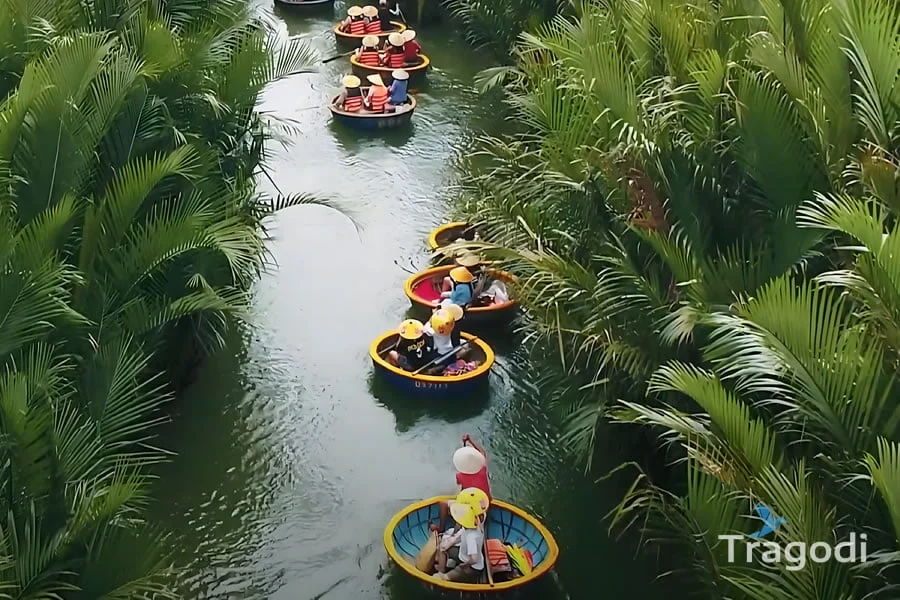 Tours and activities in Hoi An