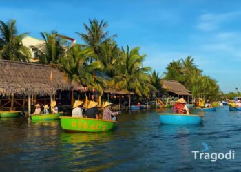 Bay Mau Coconut Forest