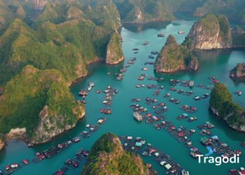 Cat Ba fishing villages