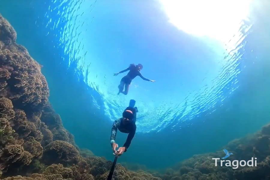 Coral diving at Southern Phu Quoc Island