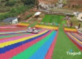 Dapa Hill Da Lat
