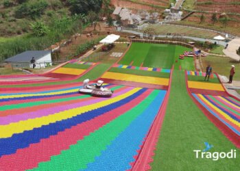 Dapa Hill Da Lat Tragodi Dapa Hill Da Lat