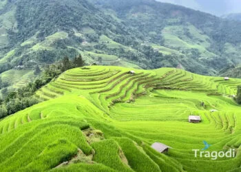 Hoang Su Phi