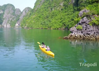 Things To Do In Cat Ba Island - Tragodi