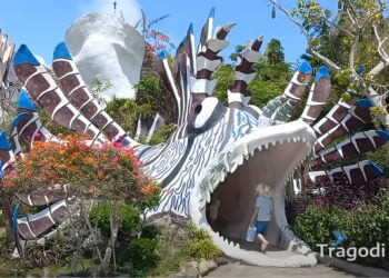 Tri Nguyen Aquarium Tragodi Tri Nguyen Aquarium