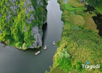 Van Long Nature Reserve