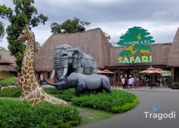 Vinpearl Safari Phu Quoc